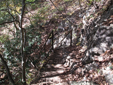 20171102hike (205)
